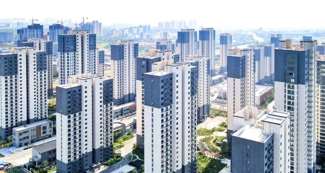 1660794207249591.jpg 2.jpg