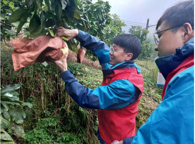 1606784651563339.png blob.png