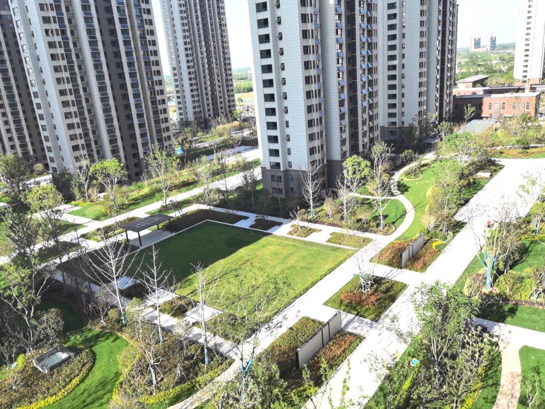 1657953472320118.png 2.png